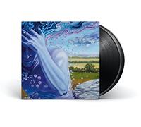 The Absence Of Presence [VINYL]