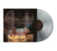 The Acacia Strain Deadwalk LP multicolor Onesize