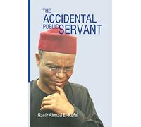 The Accidental Public Servant