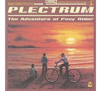 The Adventure of Pony Rider