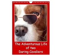 The Adventurous Life of two Daring Cavaliers (Wall Calendar 2026 DIN A4 portrait), CALVENDO 12 Month Wall Calendar: Two charming Cavaliers bring joy to dog lovers daily