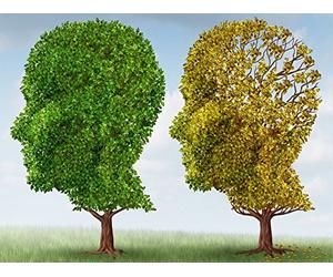 The Aging Mind: What Changes?