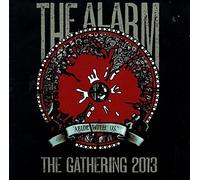 The Alarm - Abide With Us : Live At The Gathering 13