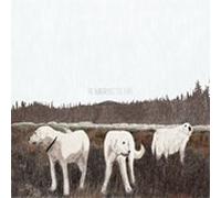 Foxing - The Albatross: Ten Years [New Vinyl LP] Brown, Colored Vinyl