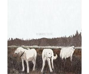 The Albatross: Ten Years by Foxing Vinyl 12" Album