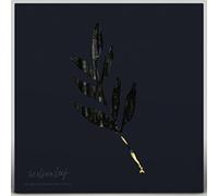 The Album Leaf - An Orchestrated Rise To Fall [LP][Blue & Yellow Starburst] [VINYL]