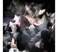 The Alexandria Quartet - Light Drawings