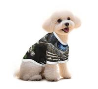 The All-Seeing Eye Dog T-Shirt Clothes Apparel Puppy Vest Pet and Elastic Tank Top Clothing, Dogs Cats Pullovers Cute Breathable Soft Small