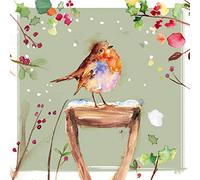 The Almanac Gallery Charity Christmas Cards - Robin on Snowy Handle - Eco-Friendly - Pack of 8 Cards