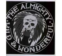 The Almighty - Almighty - Wild And Wonderful - 12 inch vinyl