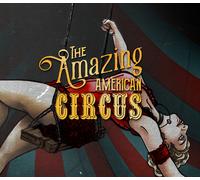 The Amazing American Circus EU PS4 CD Key