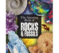 The Amazing Book of Rocks and Fossils (Amazing Books, 6)