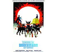 The Amazing Dobermans ( Lucky )