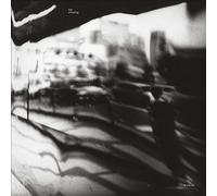 The Amazing - In Transit [VINYL]