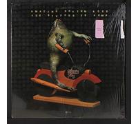 The Amazing Rhythm Aces - too stuffed to jump LP