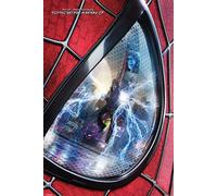 The Amazing Spider-man 2 Eye Maxi Poster, Multi-Colour