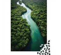 The Amazon River Bend Adult Jigsaw Puzzle, 1000 Pieces, 70x50cm/1000pcs, Relaxing Indoor Activity, Evening Leisure And Year-Round Leisure