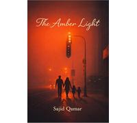 THE AMBER LIGHT: DISPELLING THE DARKNESS OF AMBIGUITY
