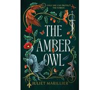 The Amber Owl : Volume 1