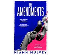 The Amendments: the instant Irish bestseller about one family through the generations