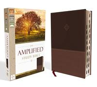 The Amplified Study Bible, Leathersoft, Brown, Thumb Indexed 25.4 x 18.4 x 5.1 centimetres