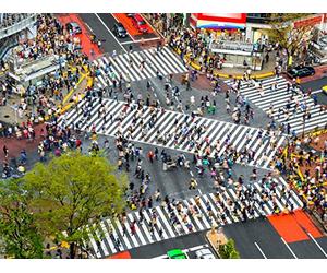 The Analects: A Bird's-Eye View