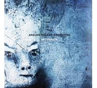 The Analog Roland Orchestra - Aftermath II [VINYL]