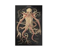 The Anatomy of Cthulhu's Mysteries Canvas Poster Wall Art Decor Print Picture Paintings for Living Room Bedroom Decoration 20x30inch(50x75cm)
