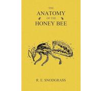 The Anatomy of the Honey Bee