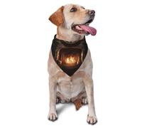 The ancient magic furnace Stylish Pet Scarf for Dogs