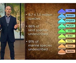 The Ancient Roots of Biodiversity