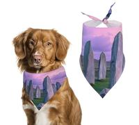 The Ancient Stone Circle of Callanish Islands Bandanas for Dogs Triangle Pet Bibs Washable Dog/Cat Scarf Pets Accessories