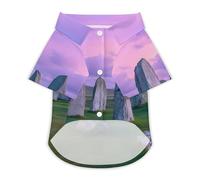 The Ancient Stone Circle of Callanish Islands Dog Shirts Summer Pet Clothes Comfort T-Shirts Short Sleeveless Top for Cats Dogs XS