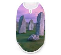 The Ancient Stone Circle of Callanish Islands Dog Shirts Summer Pet Clothes Comfort T-Shirts Vest Sleeveless Tank Top for Cats Dogs M