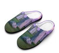 The Ancient Stone Circle of Callanish Islands Women's Slippers Cotton Warm House Shoes with Rubber Anti-Slip Sole Slip On for Home Outdoor 7-8（39-40