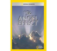 THE ANGEL EFFECT NEW REGION 1 DVD