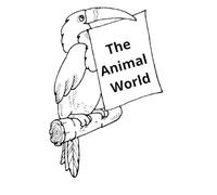 The Animal World Coloring Book for Kids: Easy & Fun Animal Adventures