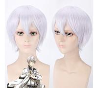 The Animation Shimotsuki Shun Cosplay Wigs 40cm Short Curly Silver for Man Boy Anime Universal Heat Resistant Synthetic Hair Wi