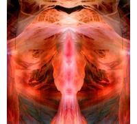 The Annihilating Angel Or The Surface Of The World [VINYL]