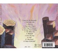 THE ANSWER (NORTHERN IRELAND) - RAISE A LITTLE HELL NEW CD