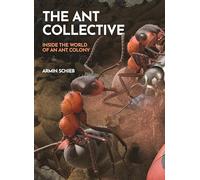 The Ant Collective