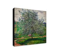 The Apple Tree by Claude Monet - Wrapped Framed Canvas Wall Art (24 x 24 inch / 61cm x 61 cm)