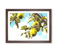 The Apple Tree Painting Framed Print | A2 Walnut Framed Wall Art | Ready to Hang | Modern Floral Picture | Living Room Bedroom Lounge Office