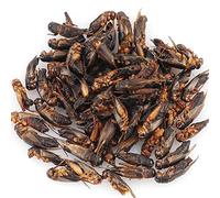 The Aqua Shack | Natural Dried Crickets - Arowana Cichlid Koi Oscar Tropical Coldwater Treats (250g)