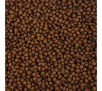 The Aqua Shack XL Cichlid Pellets 6mm Floating Fish Food - American African Malawi Tanganyikan (100g)