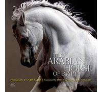 The Arabian Horse of Egypt