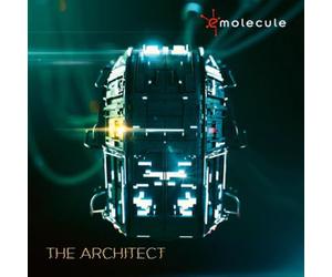 The Architect - Limited Gatefold dark green 2LP [VINYL]