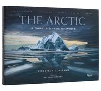 The Arctic: A Darker Shade of White