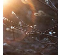 The Aries Project - English Ghosts [VINYL]