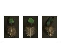 The Art Group "Alyson Fennell Green Peacock Feather Triptych Paper Art Print, Multi-Colour, 50 x 100 x 1.3 cm